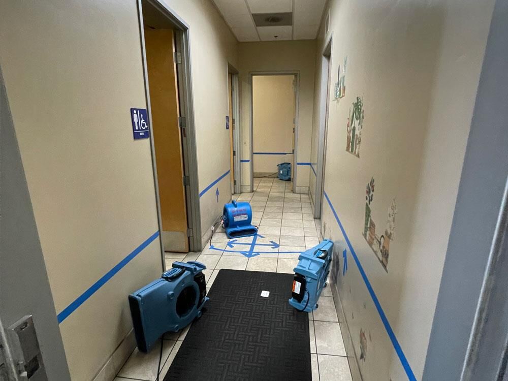 Commercial hallway carpet drying along the walls