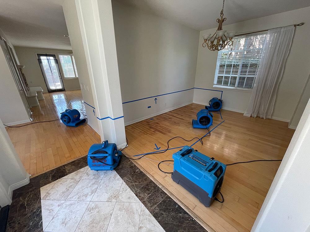 Dining room hardwood floor and wall drying with moisture map tape