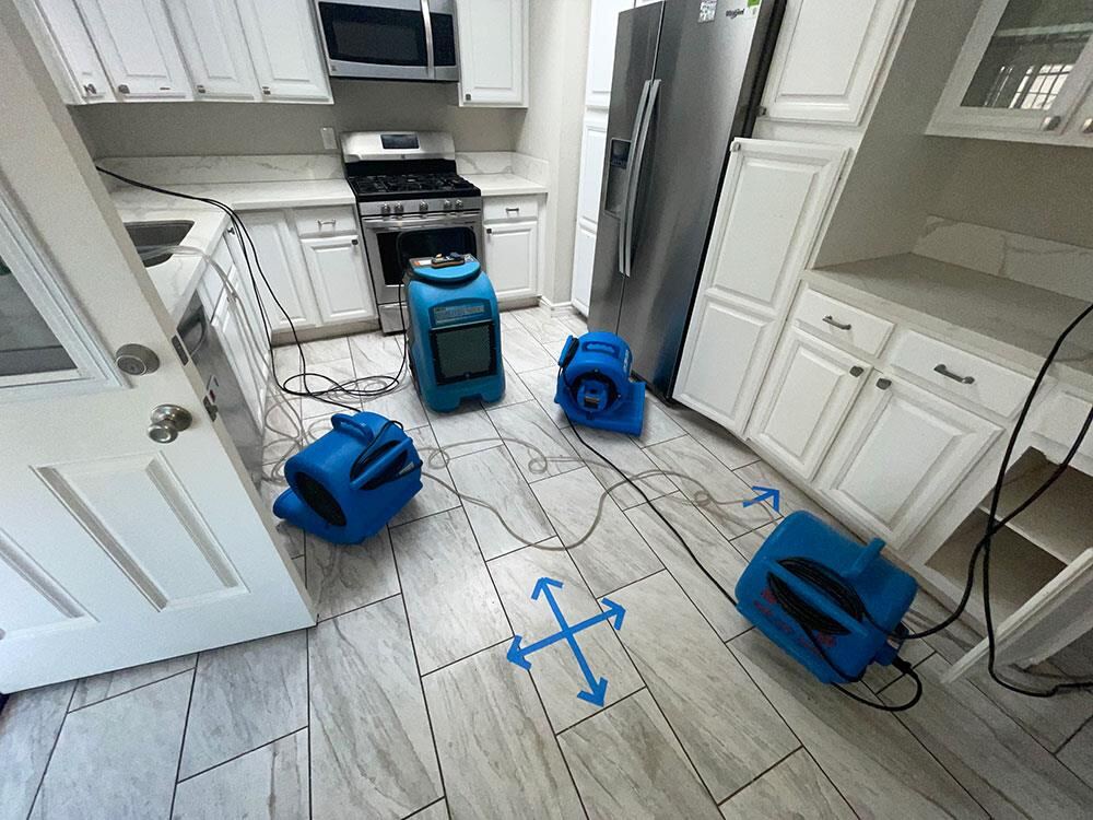 Drying equipment lined up along kitchen cabinets on a tile floor